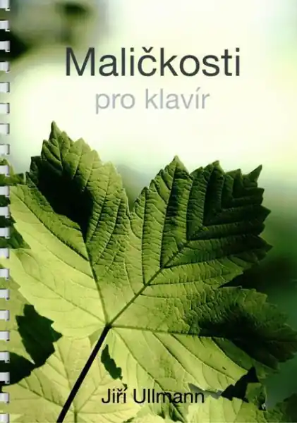 Cenový Hit Maličkosti pro klavír 1 - 12 snadných skladeb pro klavír